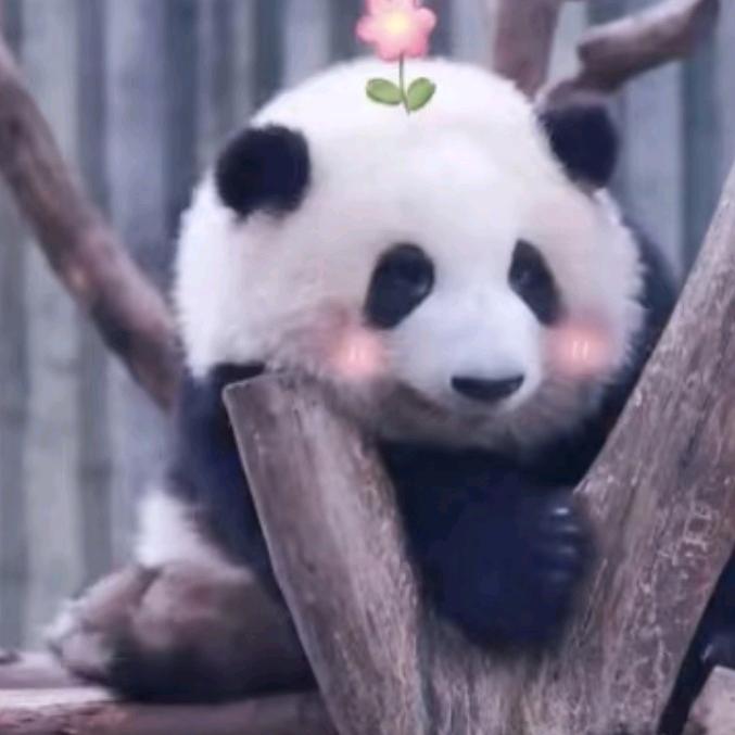 哈哈哈哈哈哈哈