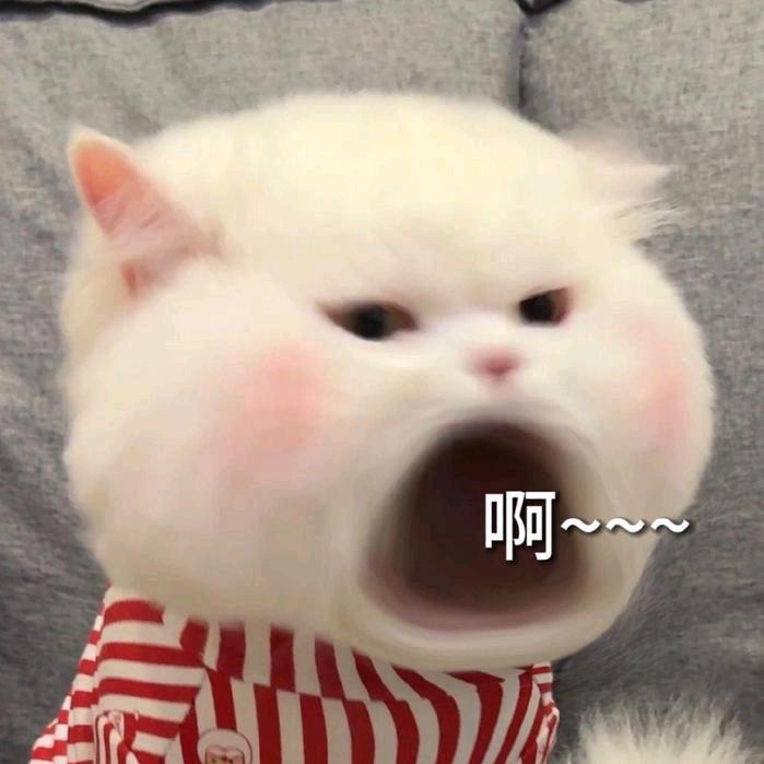 点