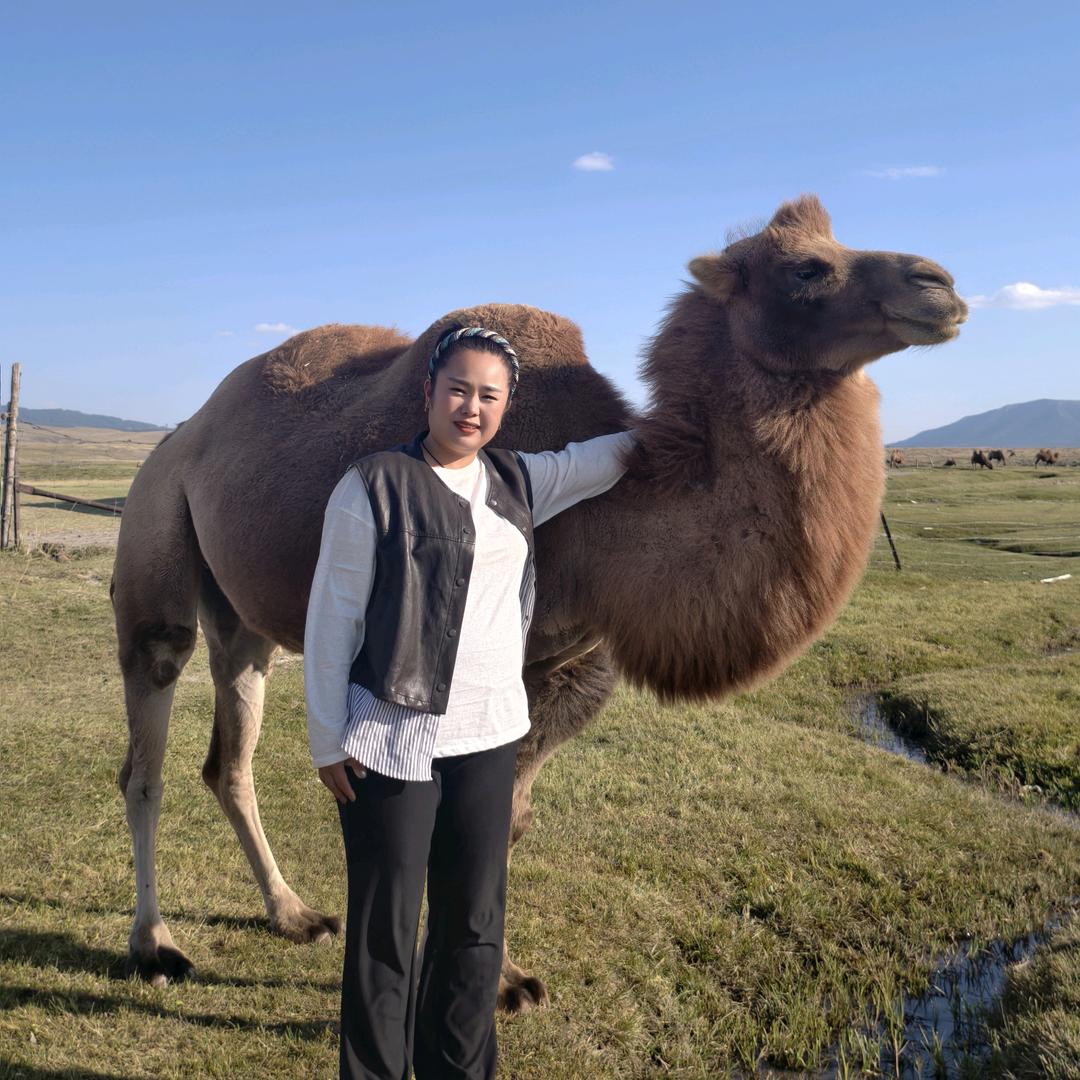 青青吖❤️新疆驼奶粉
