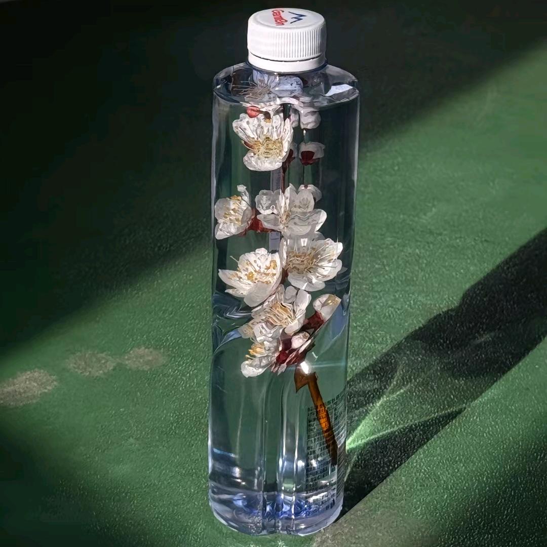 迟遇