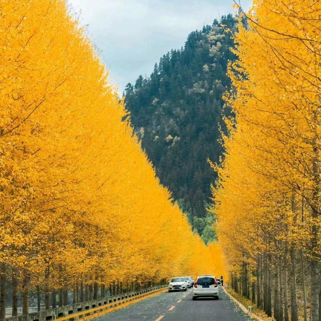 山河岁月