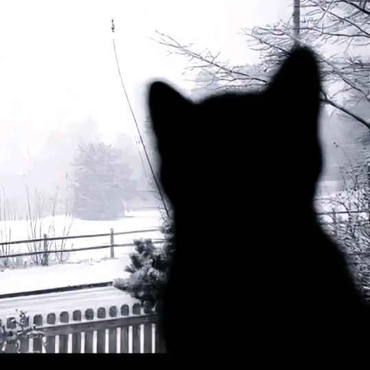 顺遂