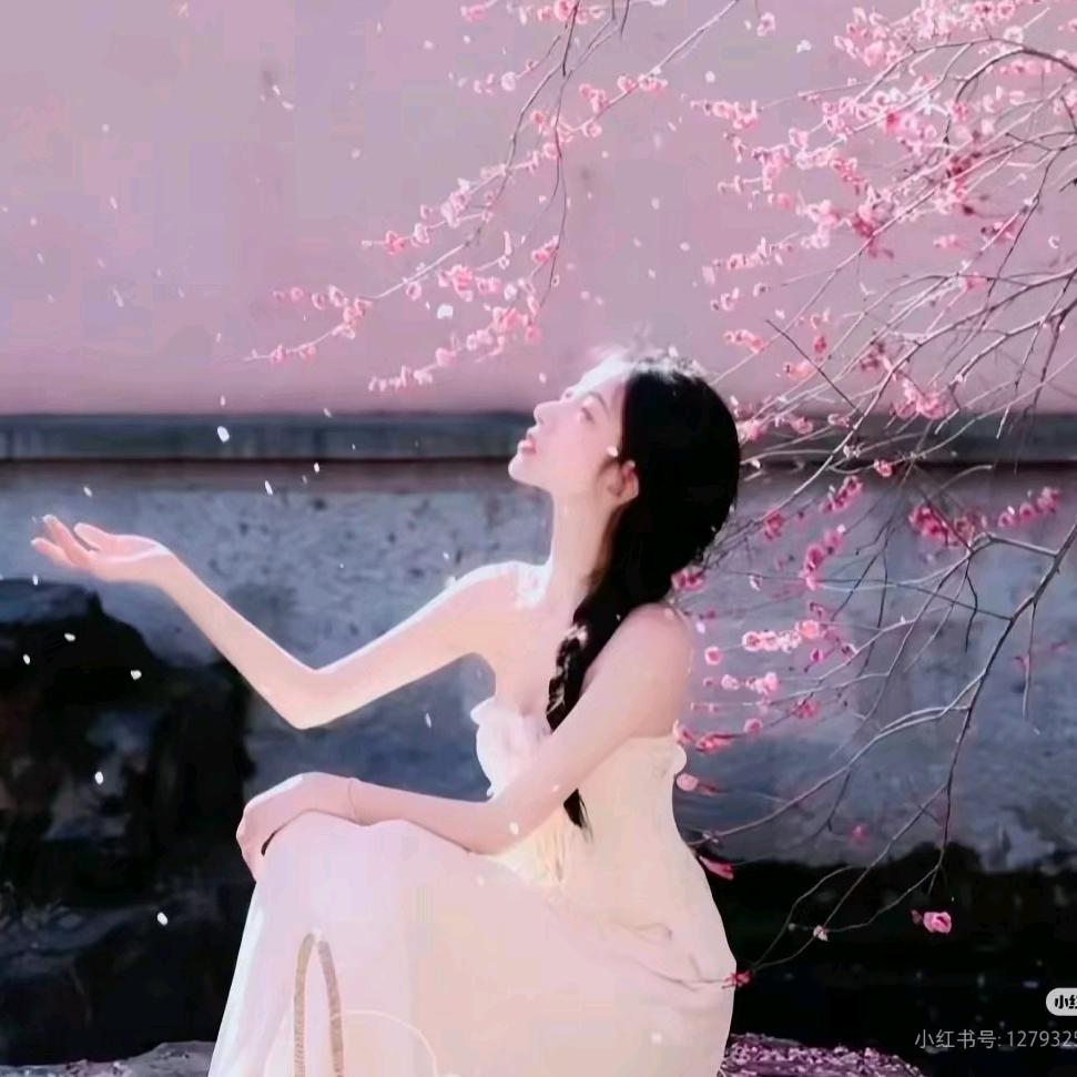 樱落浅梦