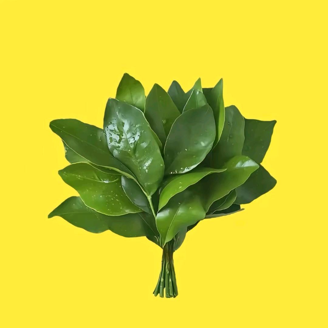 @吕小品