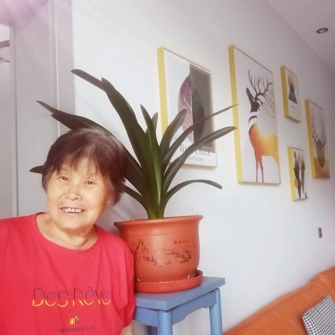 诺诺奶奶。