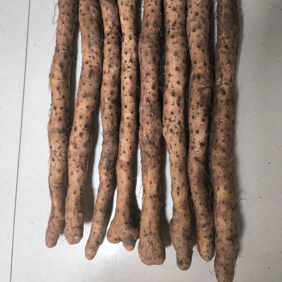 怀珍记山药