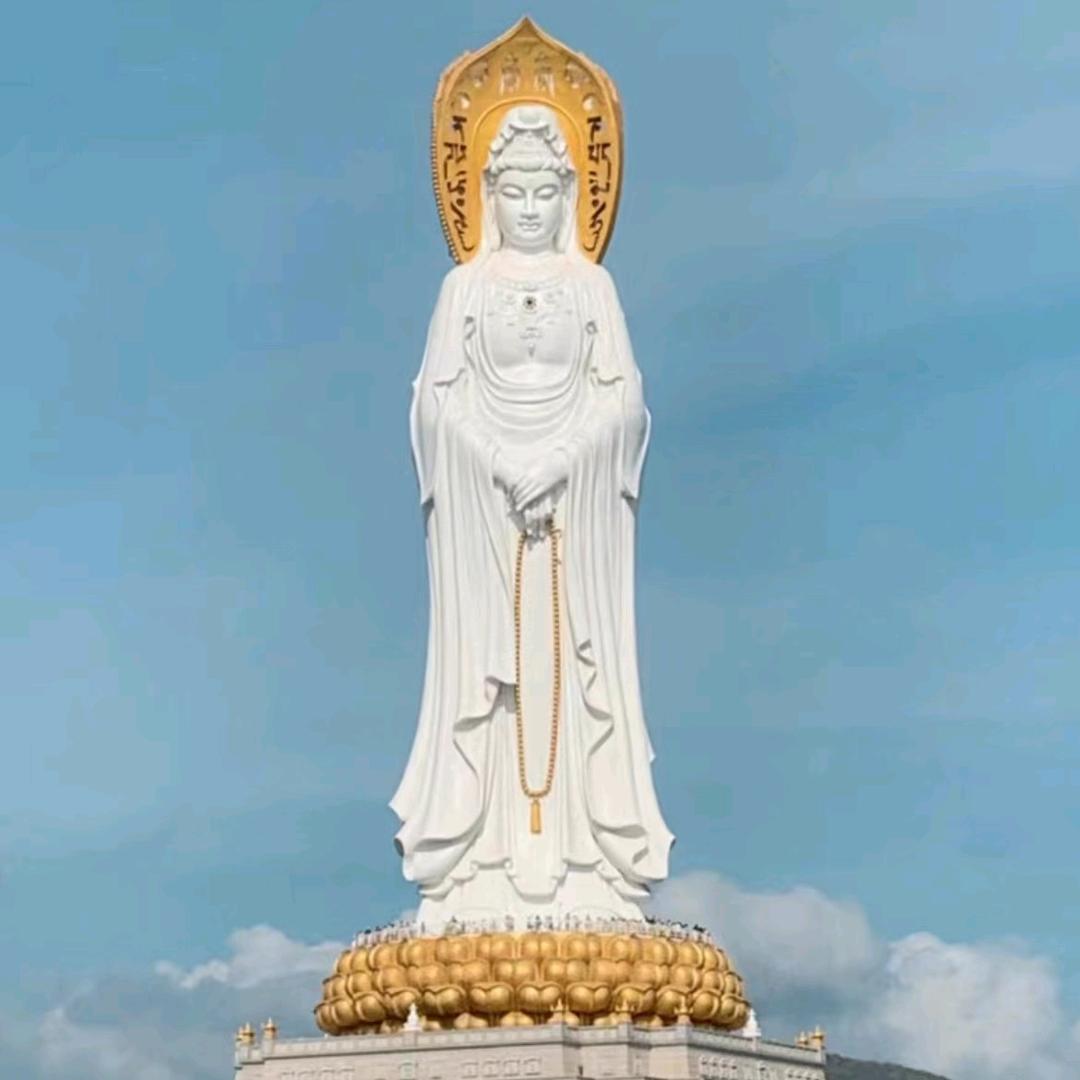 菩提心✔