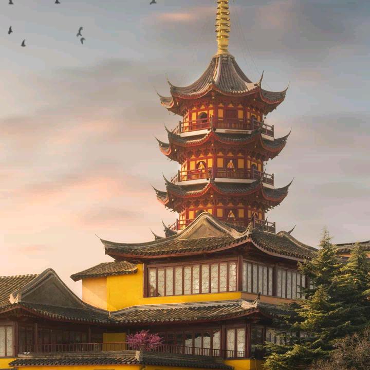 青山✨