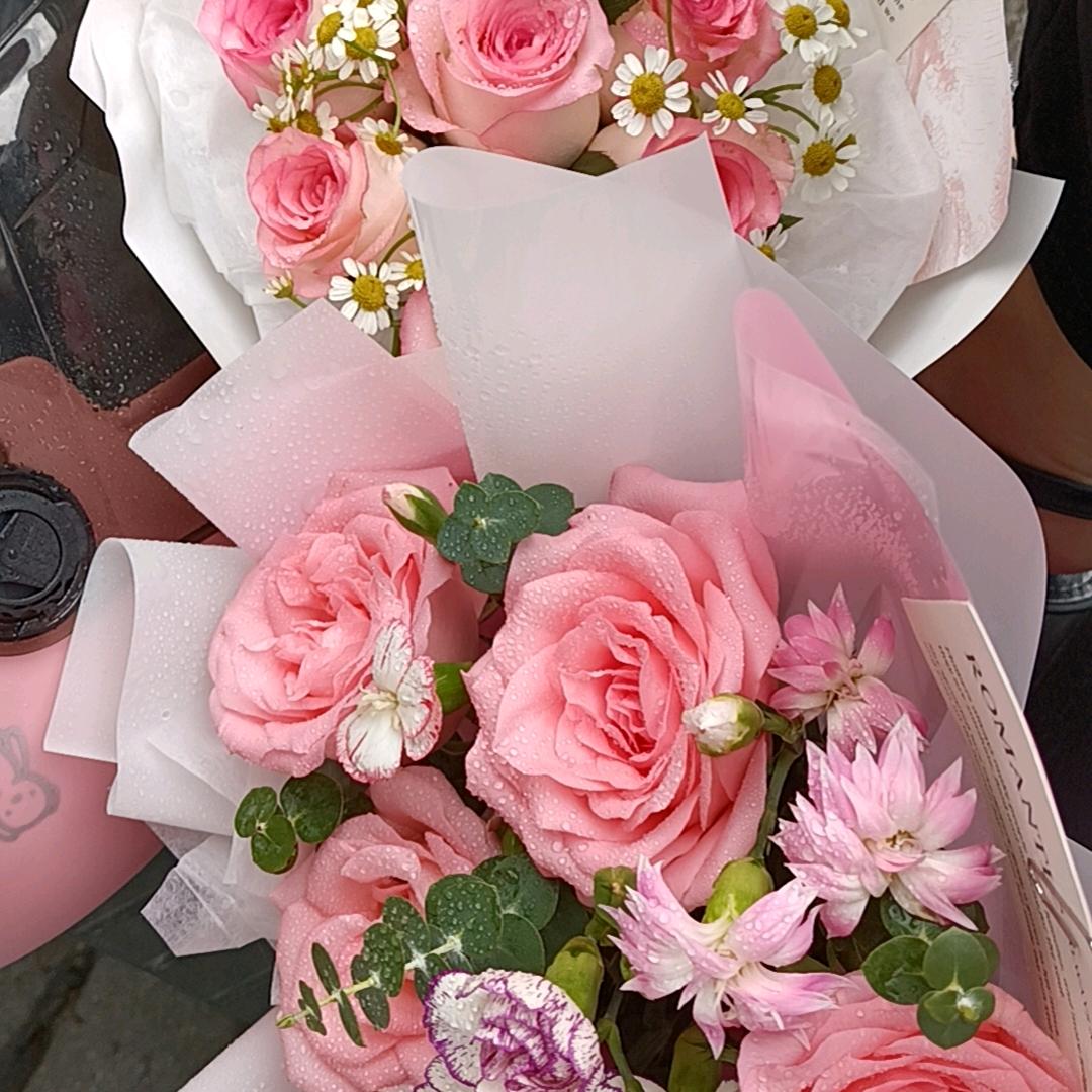 小菇凉