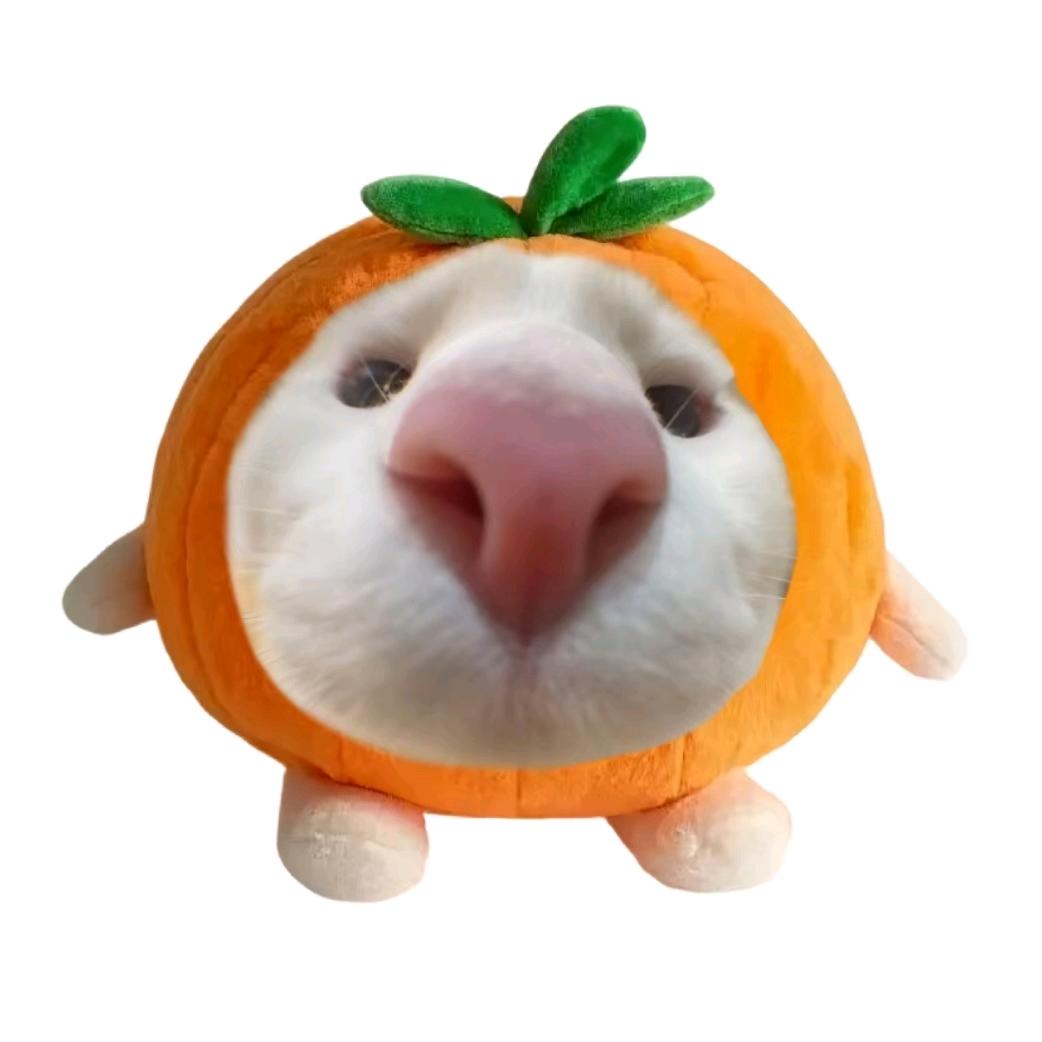天桥下的乞丐