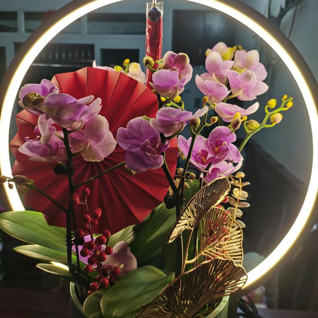 肤雅舒品牌生产厂家