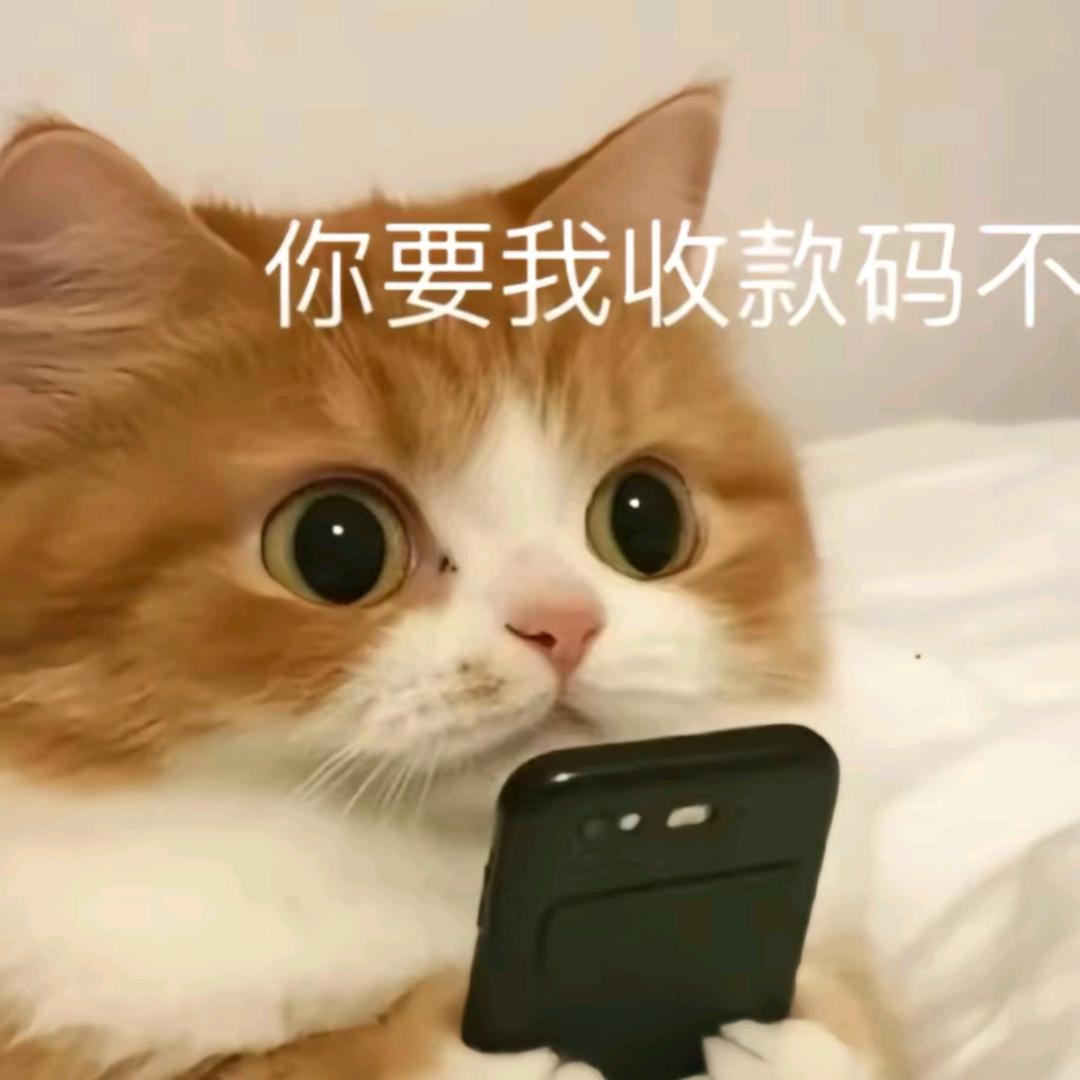 看到我就提醒我别熬夜