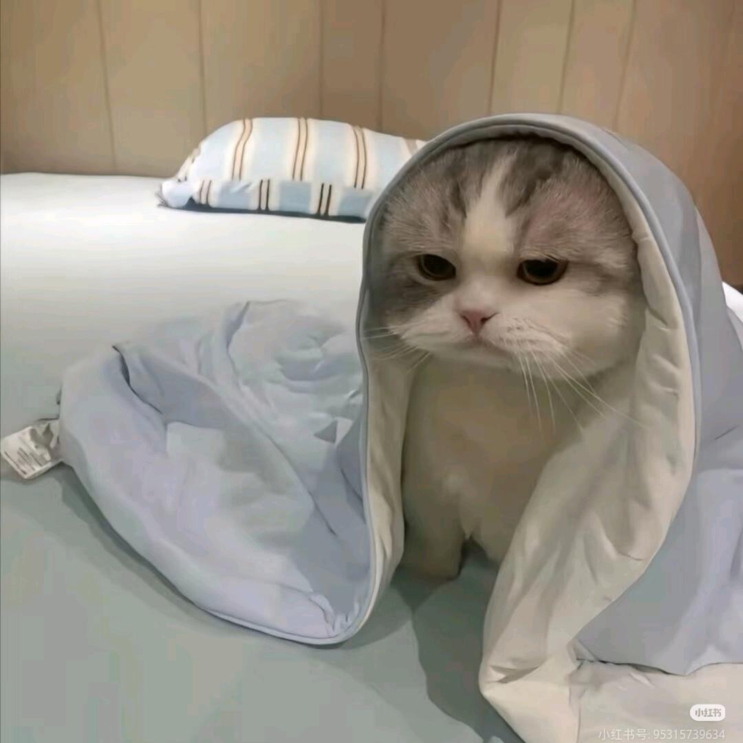 想睡觉
