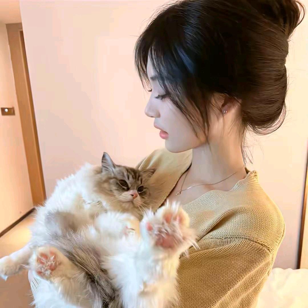 简爱衣柜