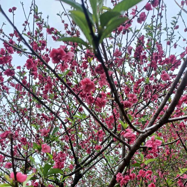 🥀余生随心🥀艳꧔ꦿ💕🥀