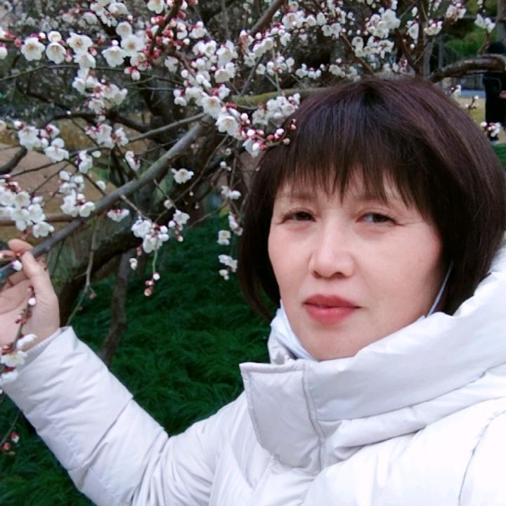 往事随风 丁姐（抗ai中加油哦）