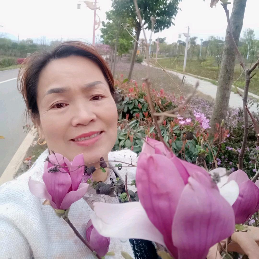 杨老大