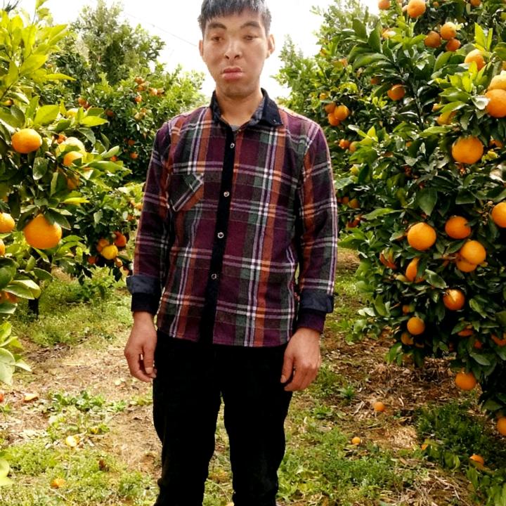 奉节   脐橙    水果  出售