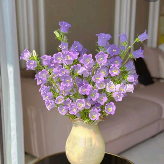 遇见家居花精选（生活鲜花）