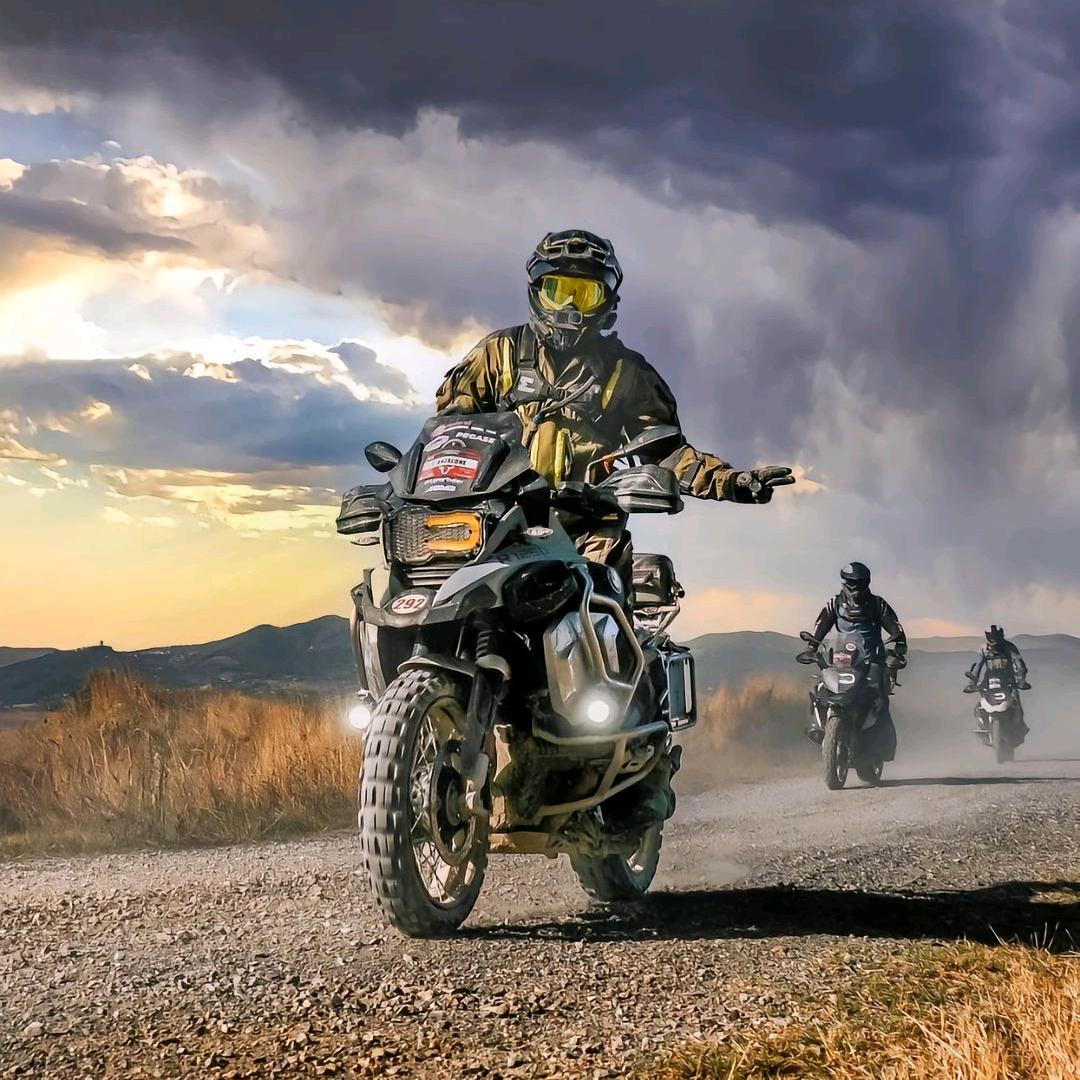 去码头整点薯条