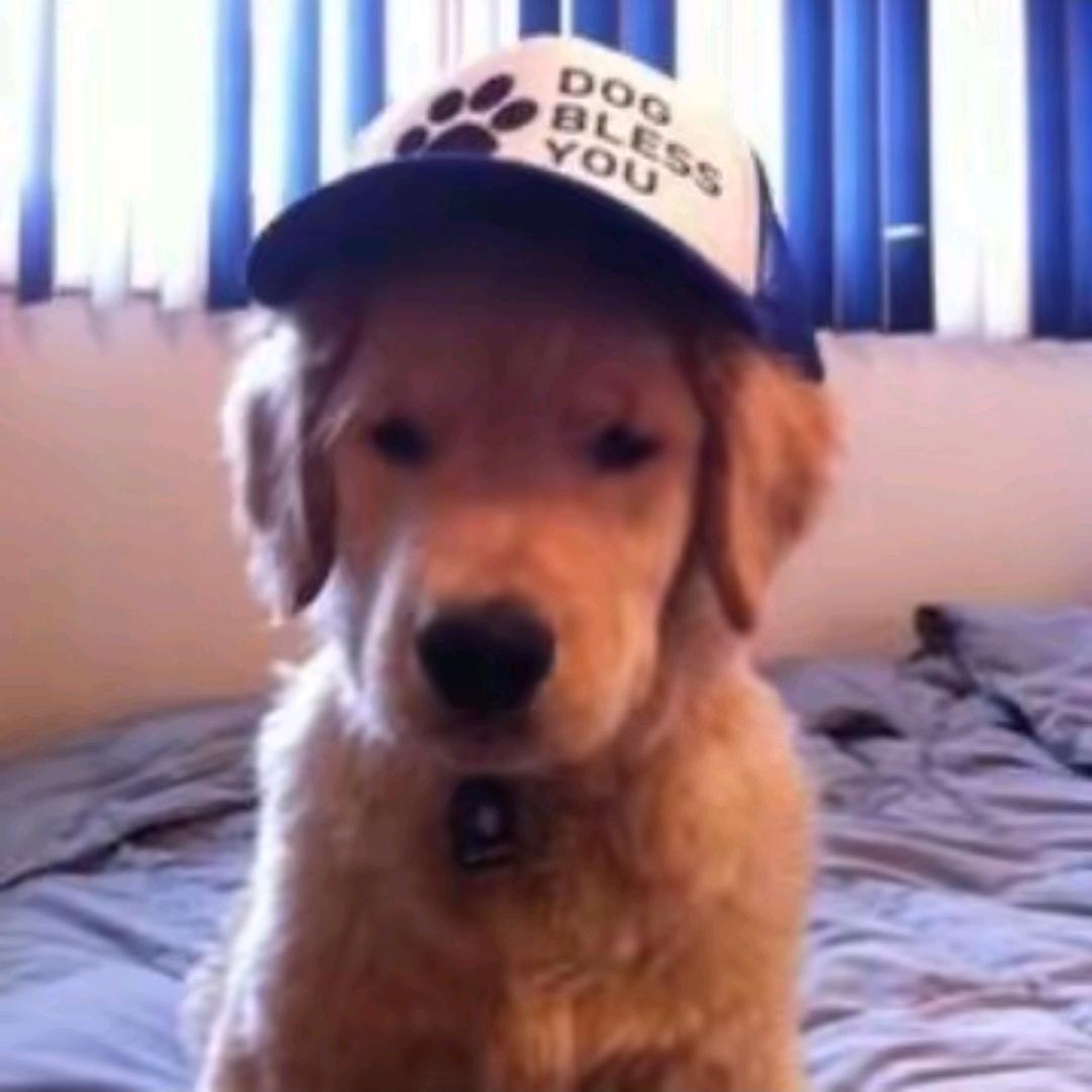 十七（三角洲行动）