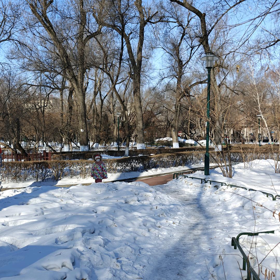 一叶🌲轻舟