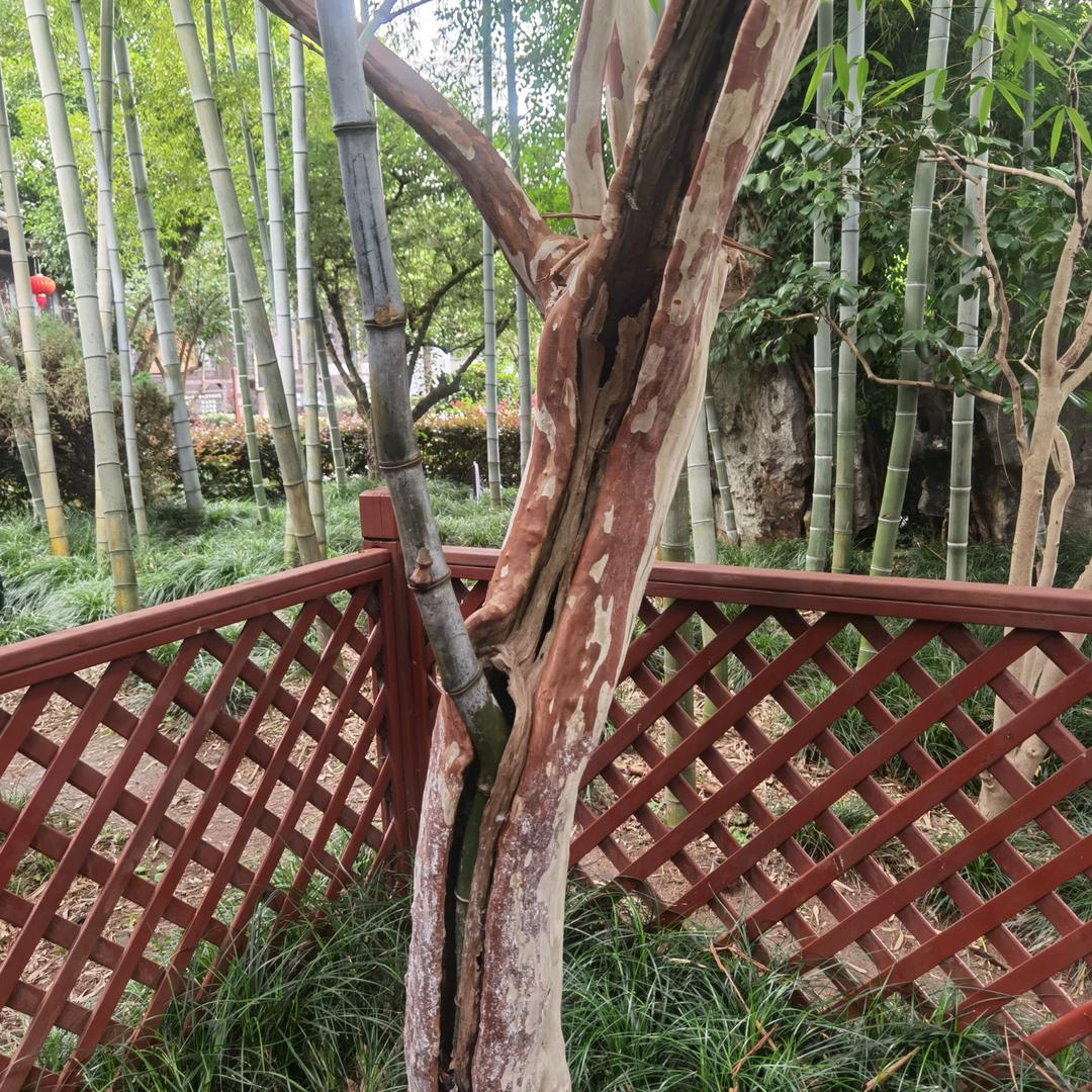 玉环市浩盛橡胶有限公司