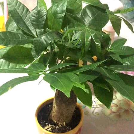 💞🇨🇳张先森🇨🇳💕