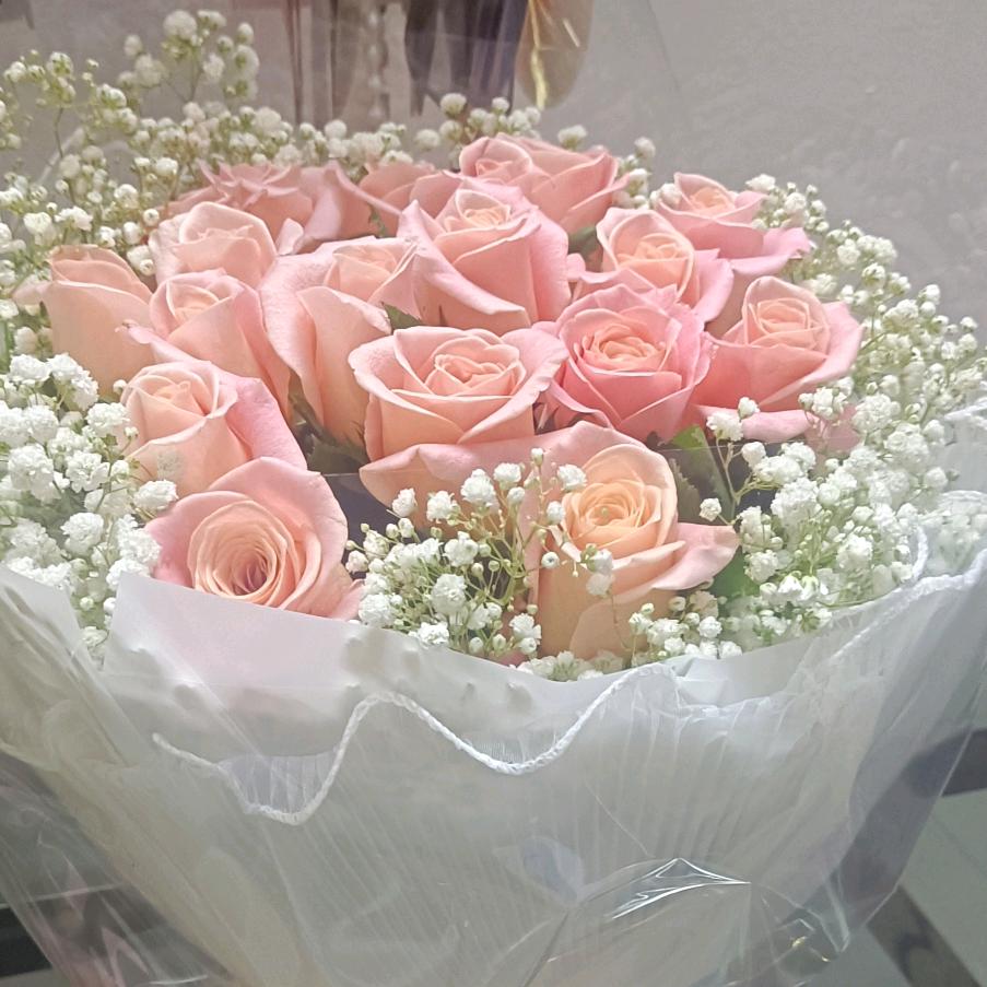 🌹浅色夏沫💐
