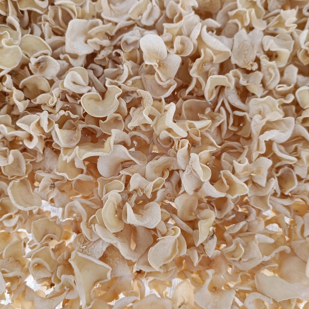 天琦木耳种植厂（张东升）