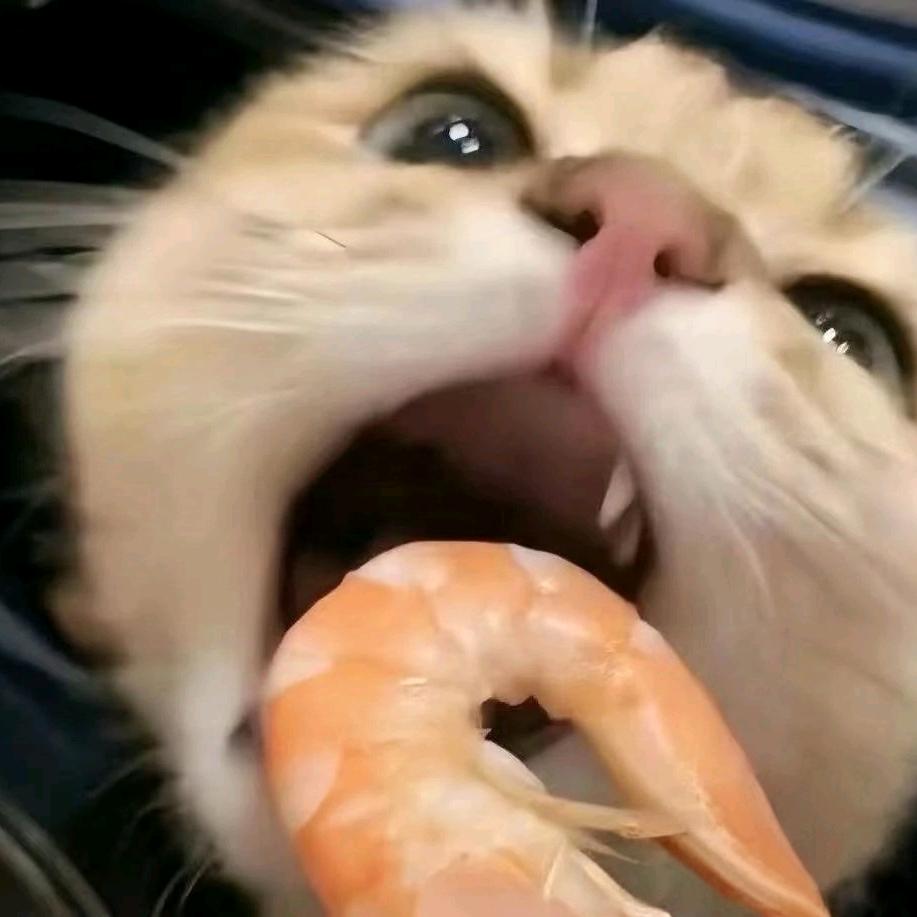 琉璃公子