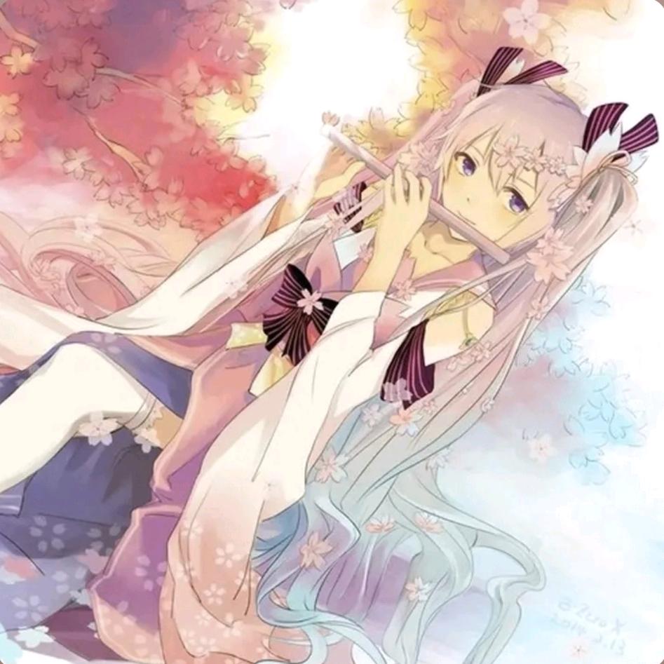 夏禾桔