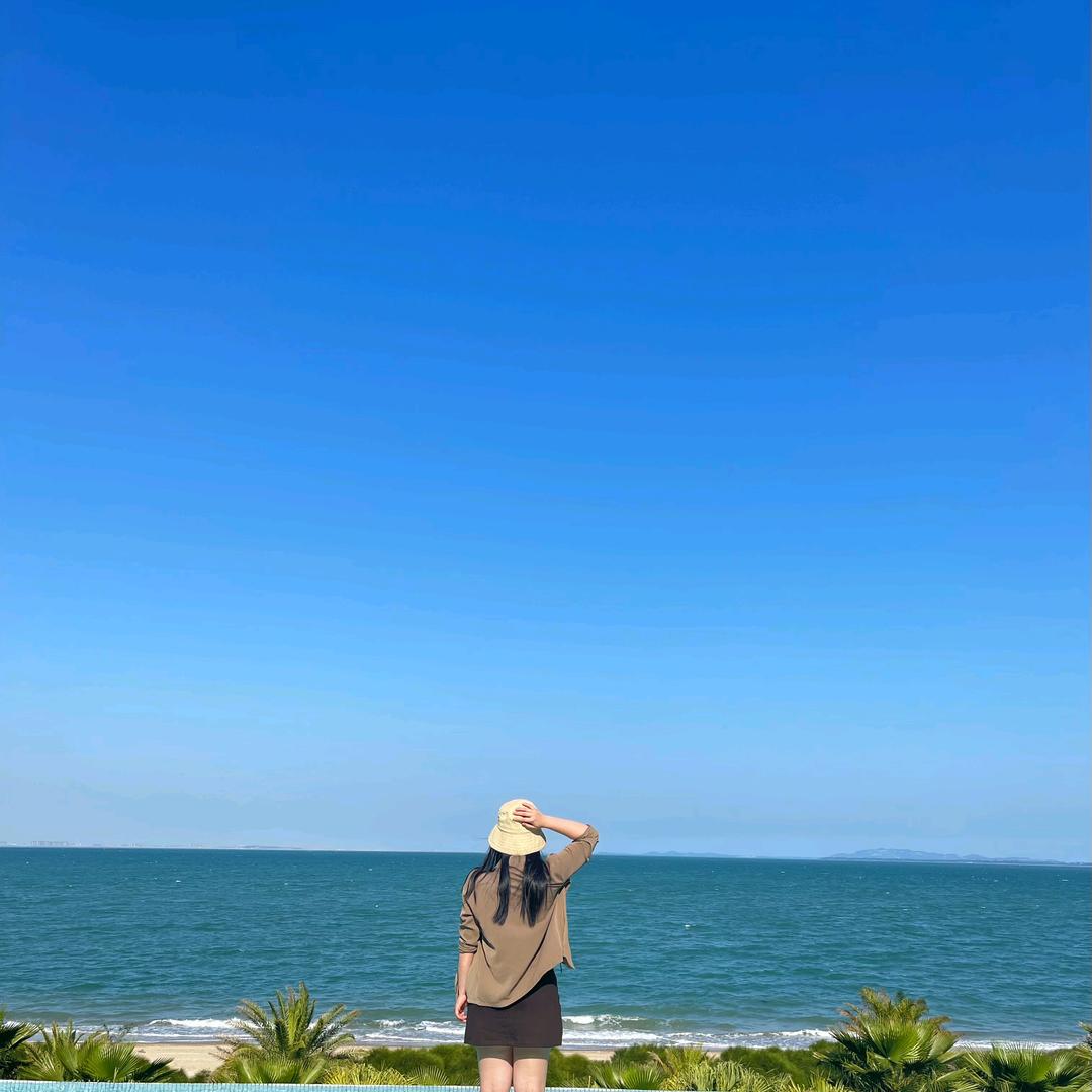 白马头像