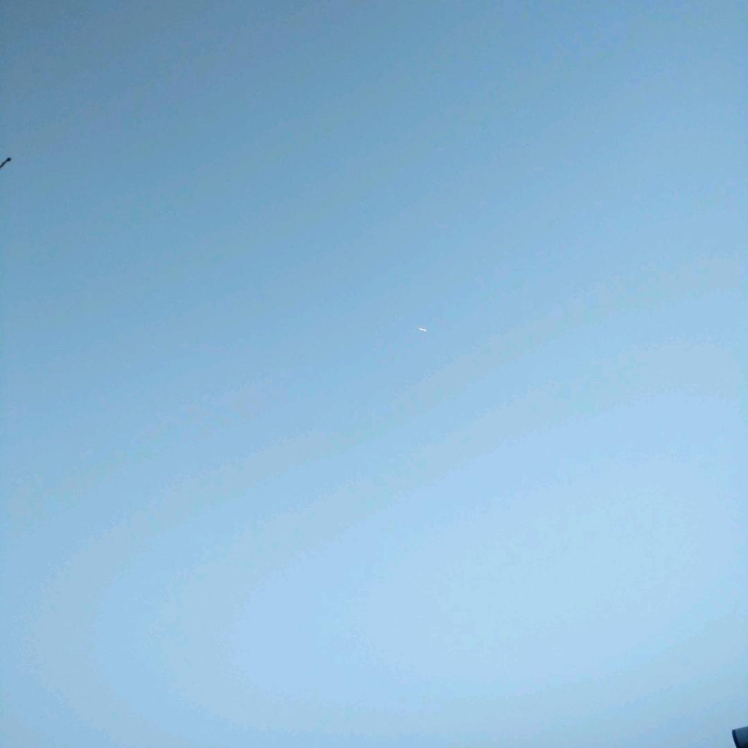噢耶  OMG