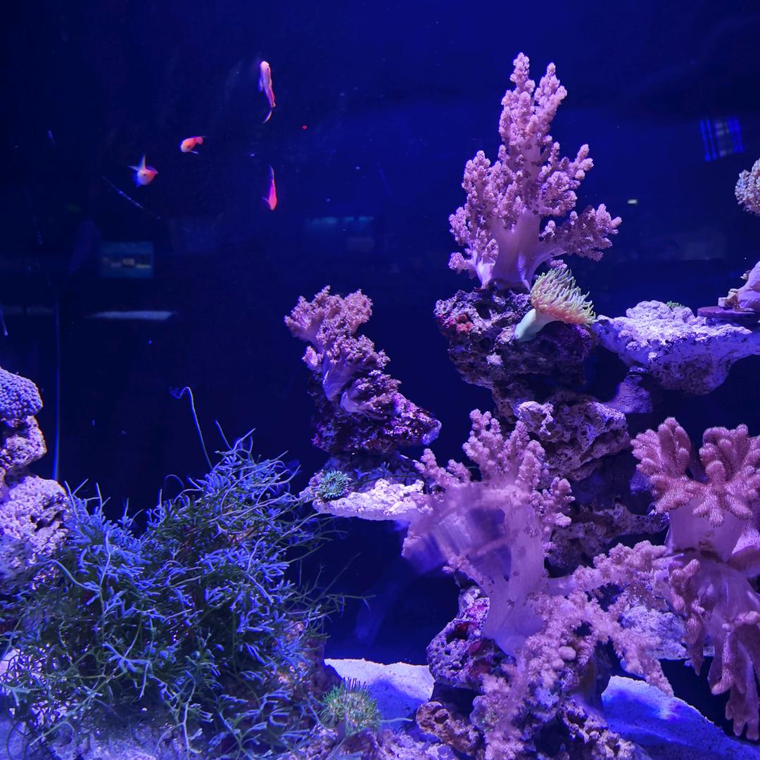 小陈🎈👨‍👩‍👧‍👦