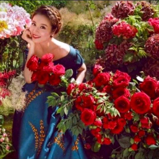 ༺༃ღ珍惜᭄꧔ꦿ拒绝连赞