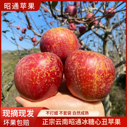 云南昭通丑苹果
