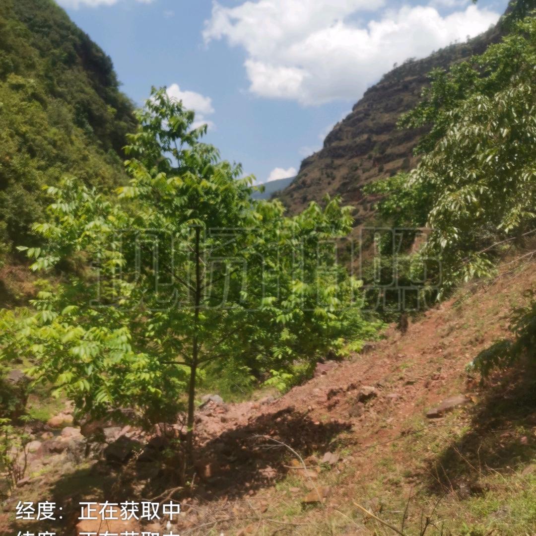 原来的回忆