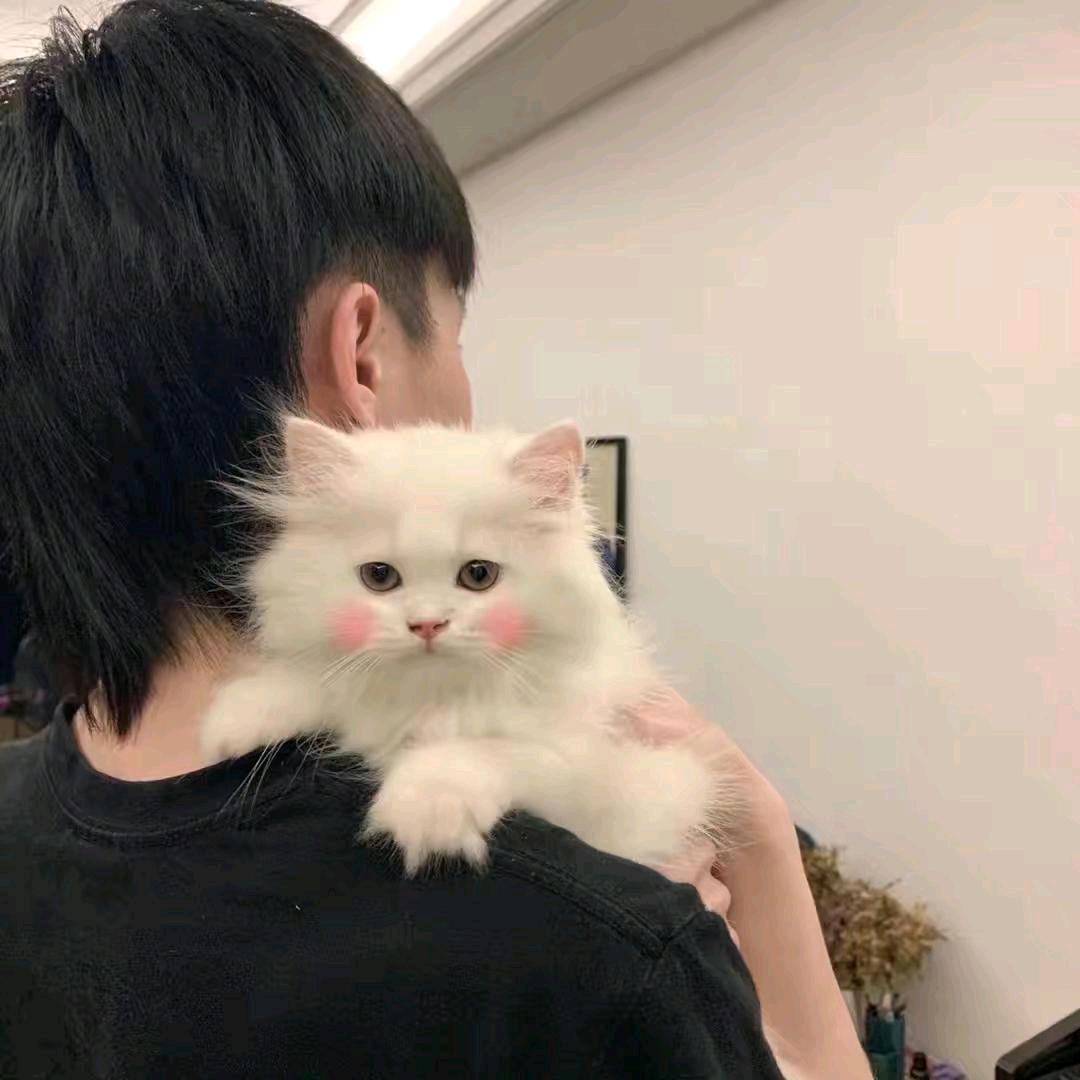 ~.