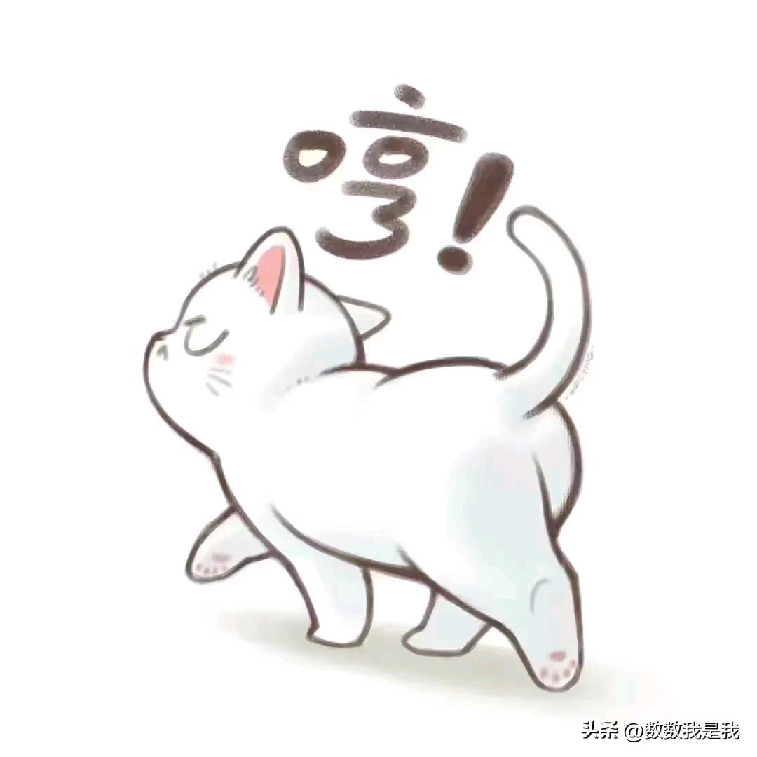 开心快乐(✪▽✪)