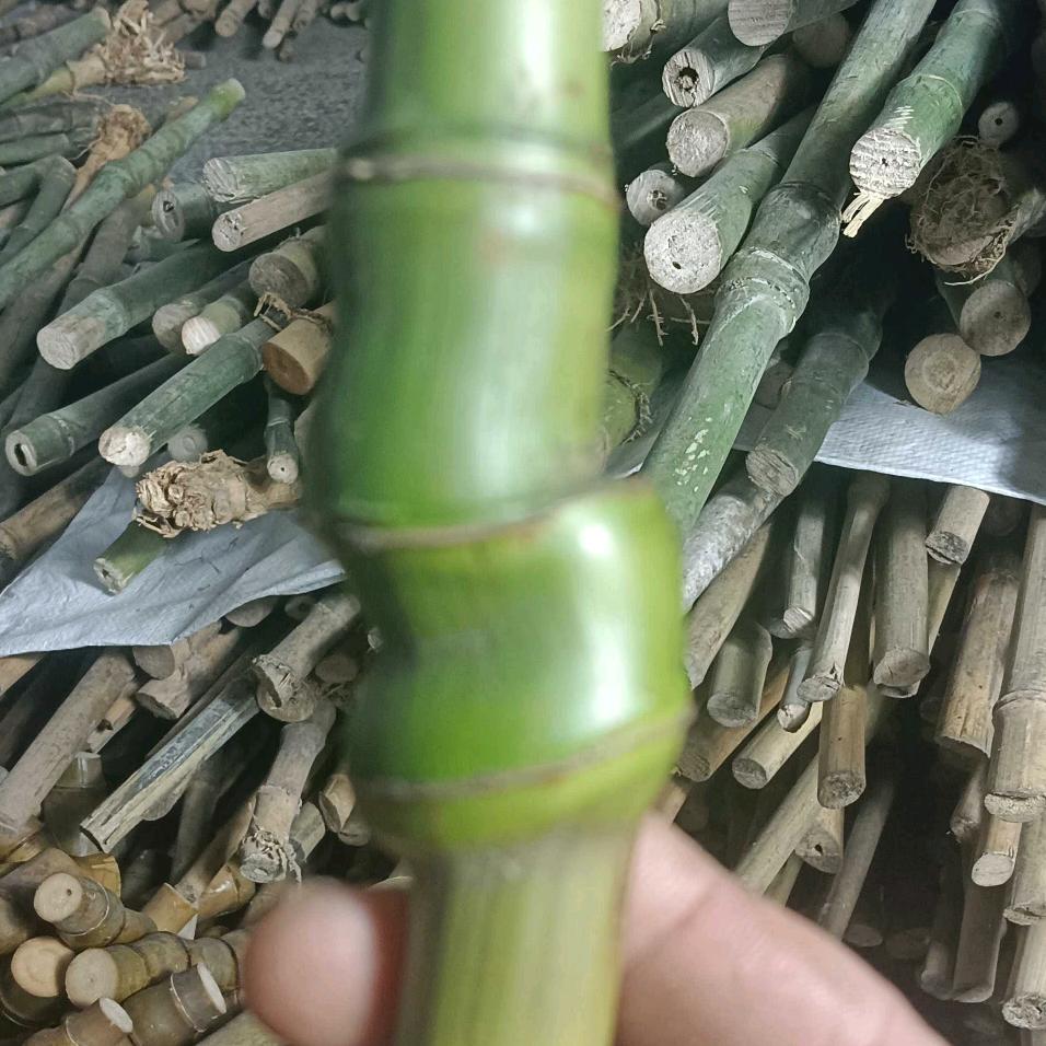 小猪哥竹工艺品店