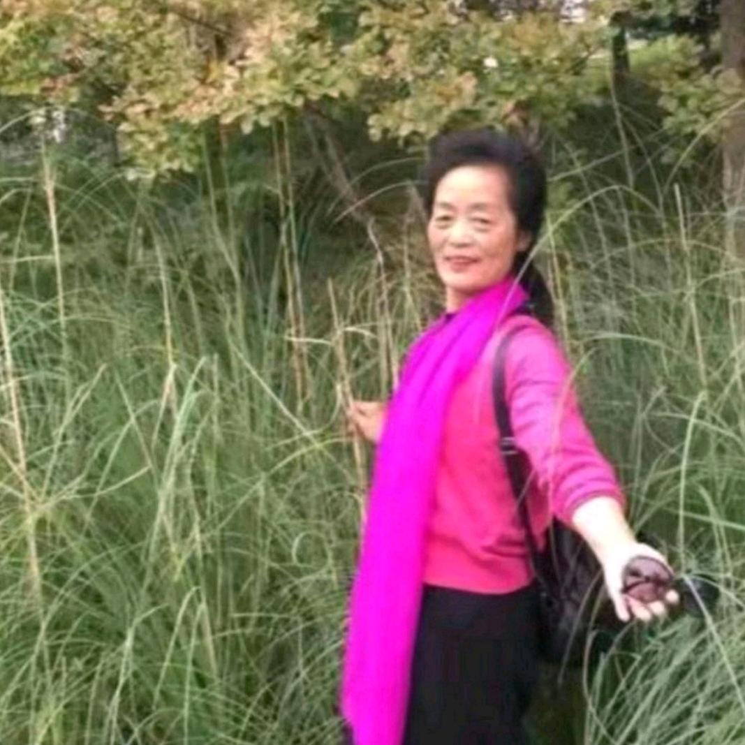 张小宁