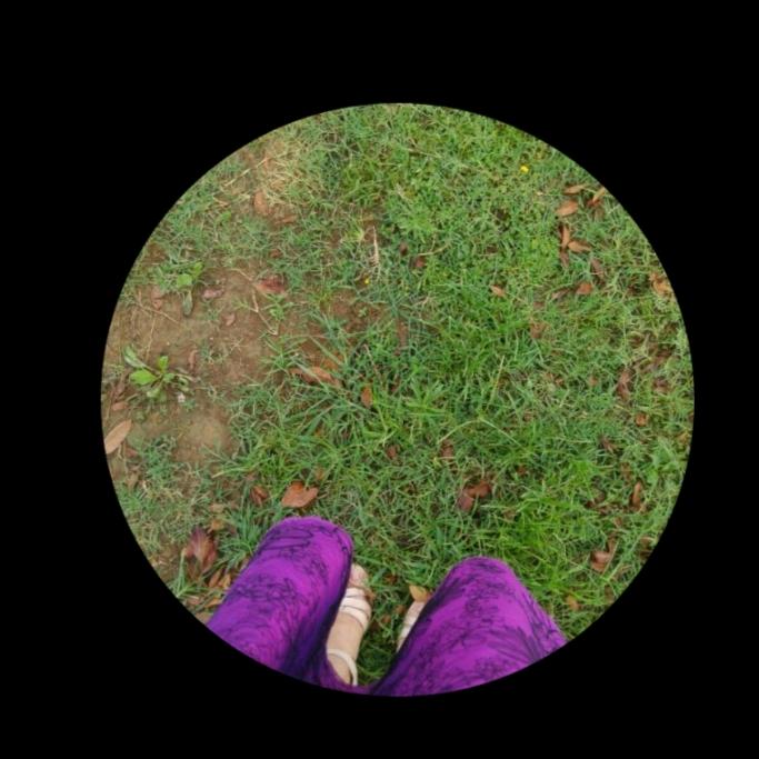 海绵宝宝托管中心国庆后面有想放托管，全托