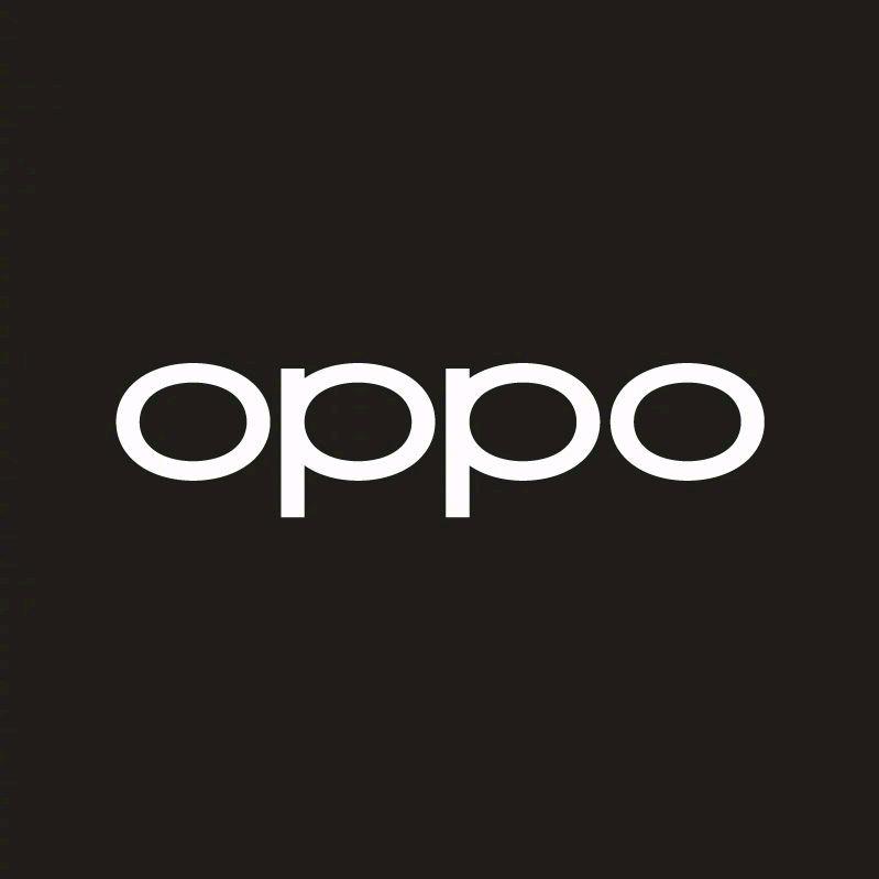OPPO官方授权体验店徐水区振兴中路店