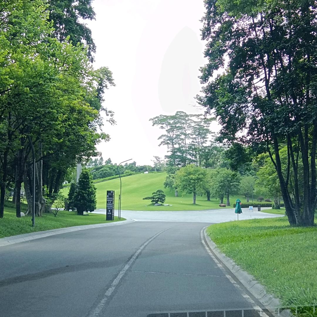 道～悟