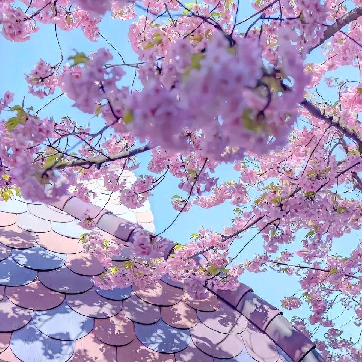 浪越大鱼越贵123