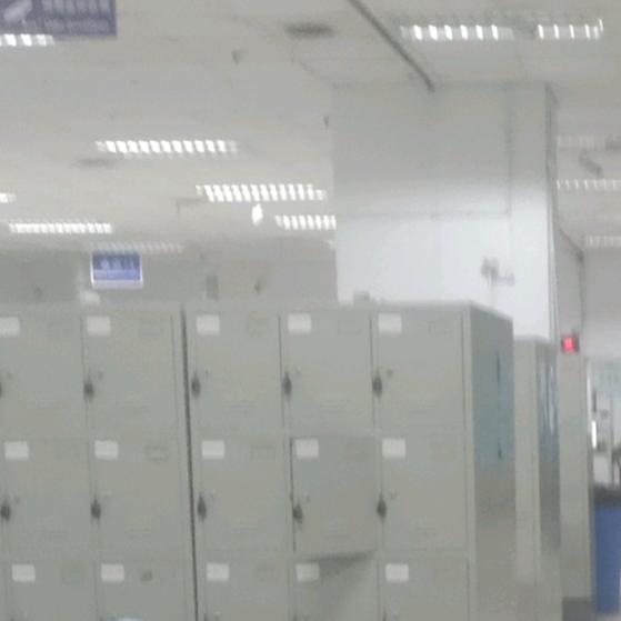 我一生奋斗都是为了妳