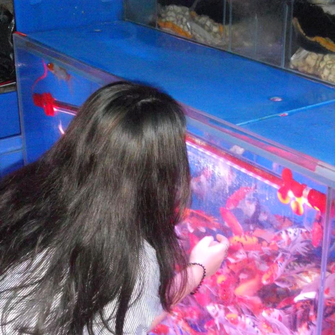 、随便一个名字（见过王俊凯版