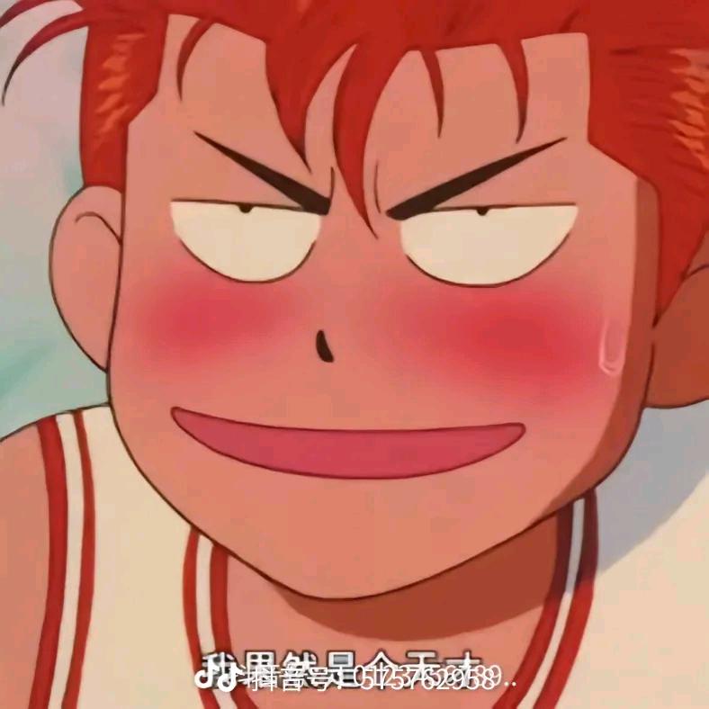一新兰君