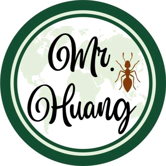 Mr. Huang·匠读英文